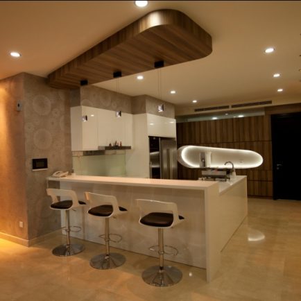 ppt_media_image135